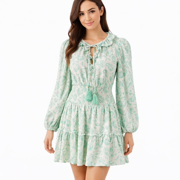 House of Harlow 1960 Dresses & Skirts - House of Harlow 1960 Mint Green Long Sleeve Dress